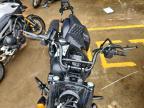 2026 Indian Motorcycle Co. Chief Bobber Darkhorse ABS