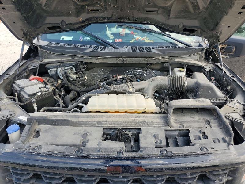 2025 Ford F150 STX