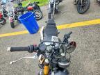 2026 Triumph Scrambler 900