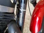 2019 Harley-Davidson XL883 N