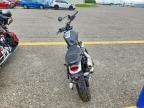 2026 Triumph Scrambler 900