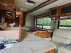2019 Coachmen Concord RV