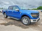 2024 Ford F150 XLT