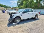 2023 Ford F150 XL 4WD 5.0L V8 Crew Cab