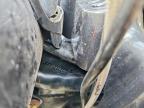 2004 Harley-Davidson Flhtcui