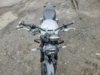 2025 Triumph Speed Twin 900