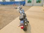 2003 Harley-Davidson FXD