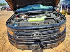 2025 Ford F150 XLT