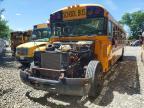 2013 Blub 2013 Bluebird Vision-School Bus