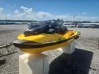 2023 Sea Doo Rxpx 300
