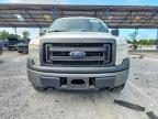 2013 Ford F150