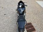 2026 Kawasaki ZX636 K