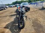 2020 Harley-Davidson XL883 N