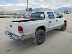 2001 Dodge Dakota Quattro