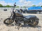 2021 Harley-Davidson XL883 N