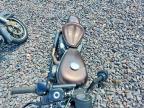 2019 Harley-Davidson XL883 N