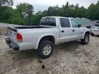 2001 Dodge Dakota Quattro