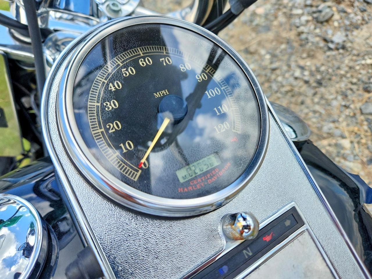 2006 Harley-Davidson Flstci
