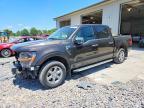 2024 Ford F150 XLT