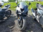 2026 Kawasaki ZX636 K