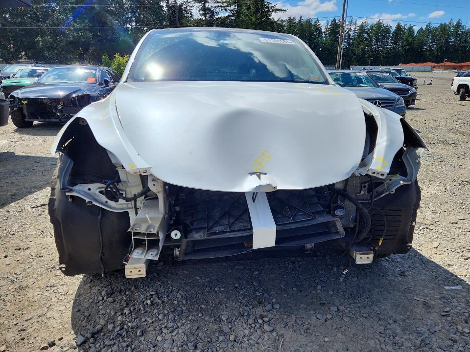 2021 Tesla Model  y