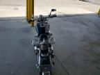2002 Harley-Davidson Flstfi
