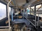 2011 Gilg Transit Bus Low
