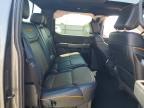 2025 Ford F150 Tremor