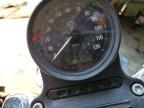 2019 Harley-Davidson XL883 L