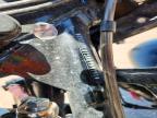 2024 Harley-Davidson Fltrxstse