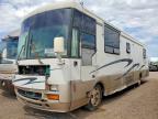 1996 Winnibago 1996 Freightliner XC Chassis RV