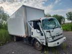 2022 Isuzu NRR BOX Truck