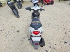 2016 Genuine Scooter Co. Buddy 50