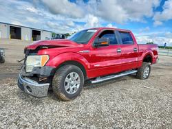 Ford salvage cars for sale: 2011 Ford F150 Supercrew