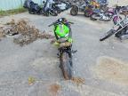 2025 Kawasaki EX650 P
