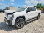 2025 GMC Sierra Denali
