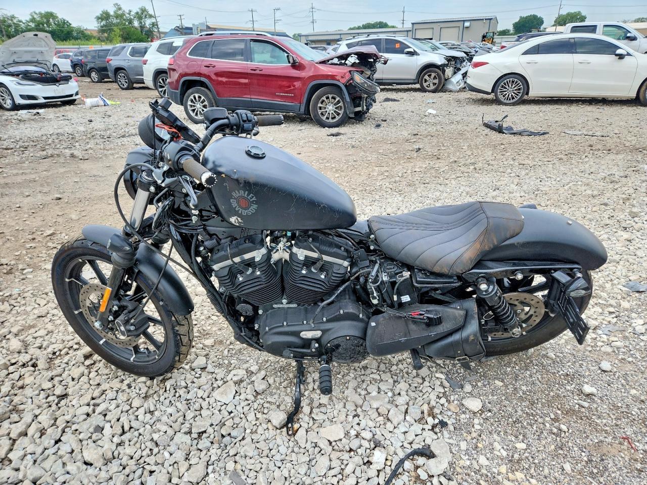 2019 Harley-Davidson XL883 N