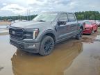 2024 Ford F150 Platinum