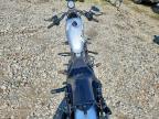 2020 Harley-Davidson XL883 N