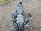2024 Honda CMX1100 A