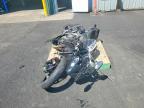 2025 Triumph Daytona 660