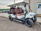 2026 Unkown 2026  EZ Kruiser Golf Cart