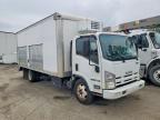 2015 Isuzu NQR BOX Truck