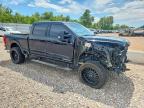 2025 Ford F250 Super Duty