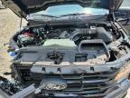 2026 Ford F150 XLT