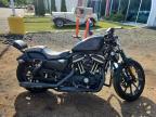 2020 Harley-Davidson XL883 N