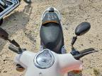 2016 Genuine Scooter Co. Buddy 50