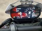 2024 Ducati Monster