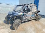 2023 Polaris RZR XP 4 1000 Premium