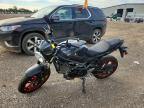 2023 Suzuki SV650